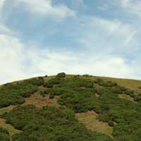 Valorema puo riciclare le vostre schede elettroniche e componenti, per recuperare e valorizzare i loro metalli preziosi (oro, argento, palladio...): trattamento rifiuti elettronici, schede informatiche, schede di rete e telecomunicazioni, circuiti stampati, circuiti integrati, Smart Card, schede cellulari, Schede WiFi, microprocessori, semiconduttori, radiografie analogiche, schede militari, metalli preziosi (Oro, Argento, Palladio, Platino, Rodio)